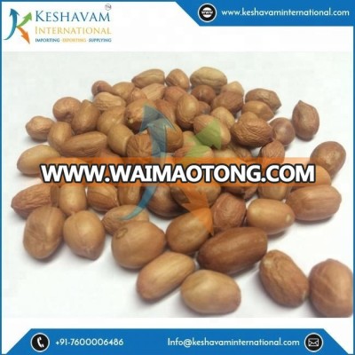 Best Quality Peanut for Export